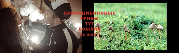 спайс Алексин