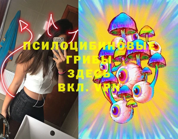 первитин Алексеевка