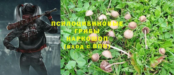 спайс Алексин
